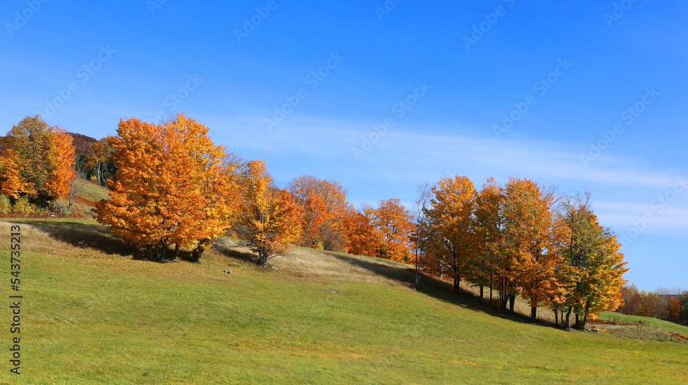 North america fall landscape eastern townships Bromont Quebec province Canada