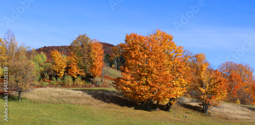 North america fall landscape eastern townships Bromont Quebec province Canada