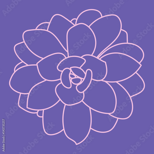 Beautiful Pattern. Hand drawn line succulent plant isolated on very peri background. Vector modern illustration. Logo Design.