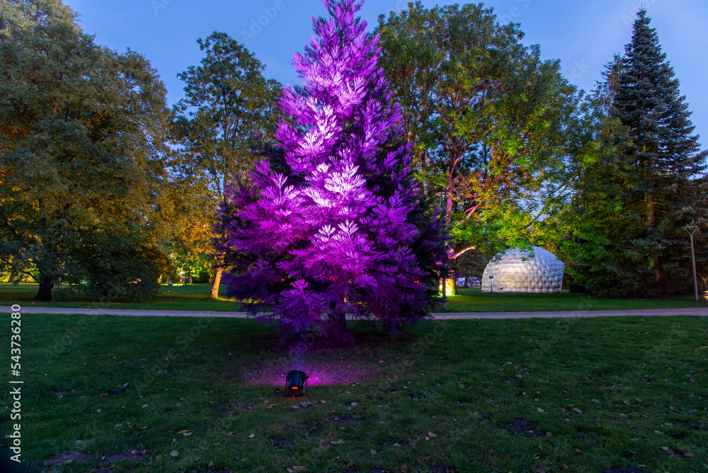 illuminated autumn park Bad Bevensen Germany
