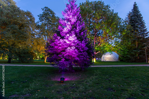 Obraz na płótnie illuminated autumn park Bad Bevensen Germany w salonie