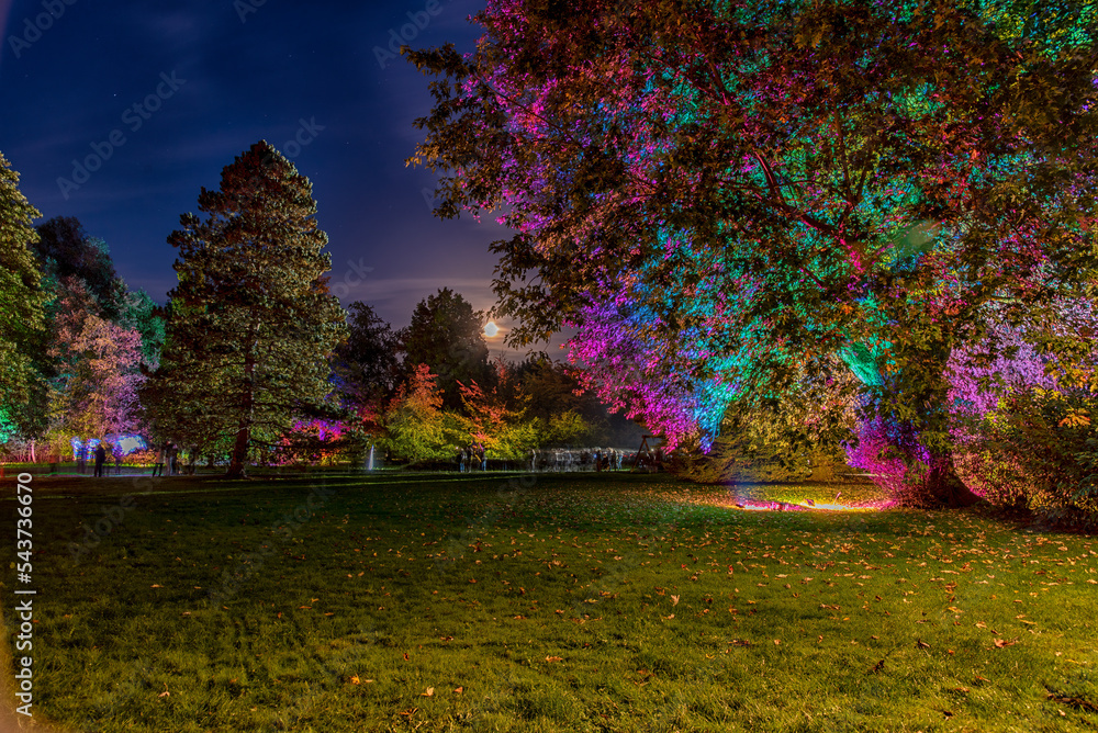 illuminated autumn park Bad Bevensen Germany
