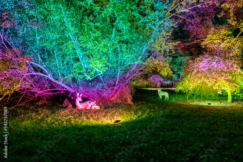 Obraz na płótnie illuminated autumn park Bad Bevensen Germany w salonie