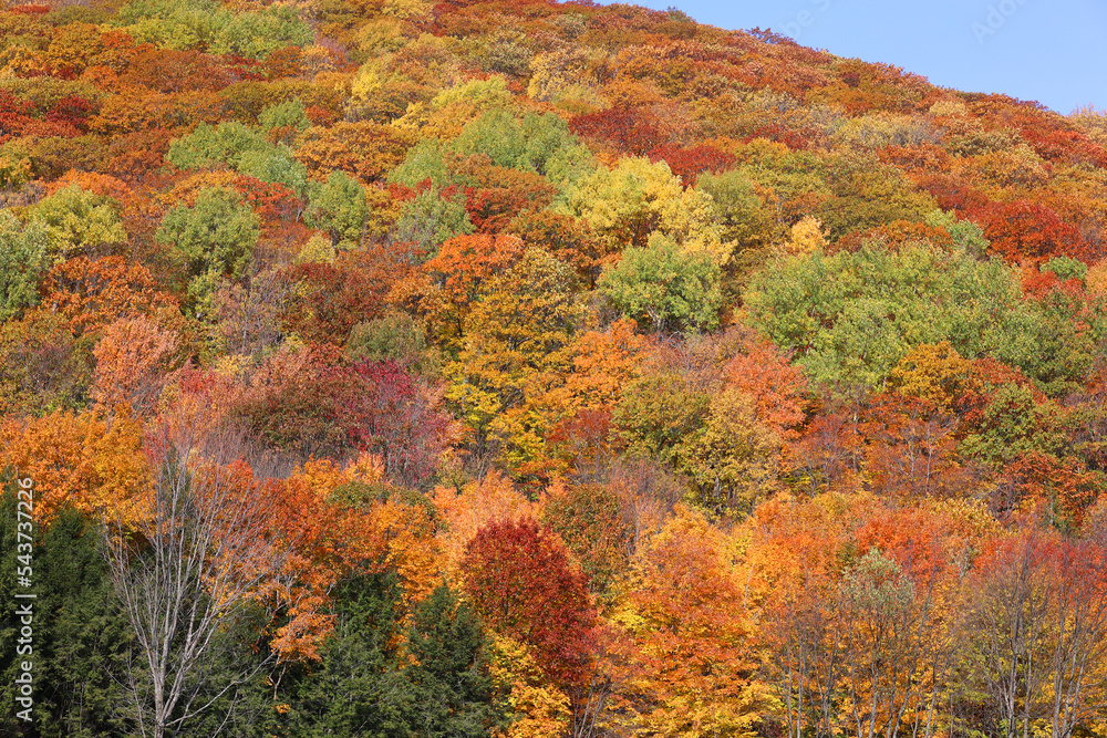 North america fall landscape eastern townships Bromont Quebec province Canada North america fall landscape eastern townships Bromont Quebec province Canada