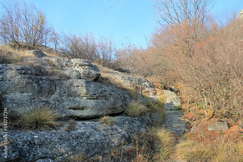 Rocks and forest in the Locality "Madara" (Bulgaria) in autumn 