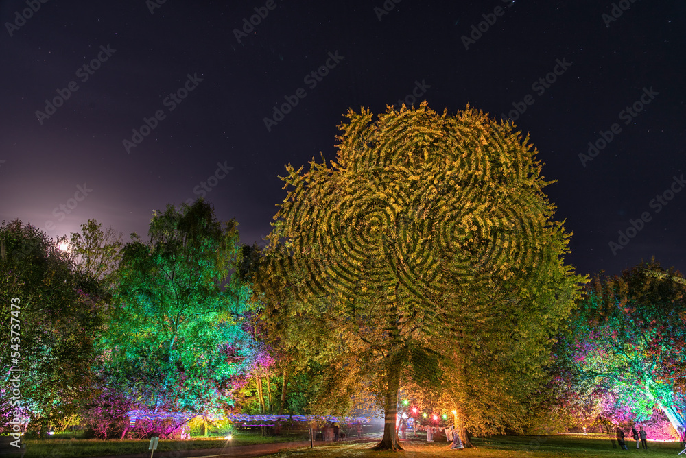 illuminated autumn park Bad Bevensen Germany
