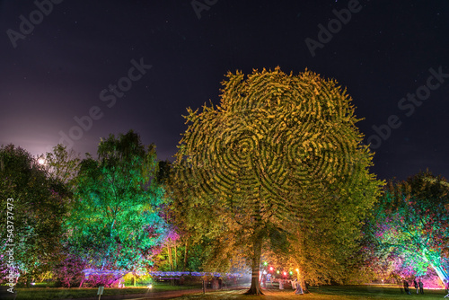 Obraz na płótnie illuminated autumn park Bad Bevensen Germany w salonie