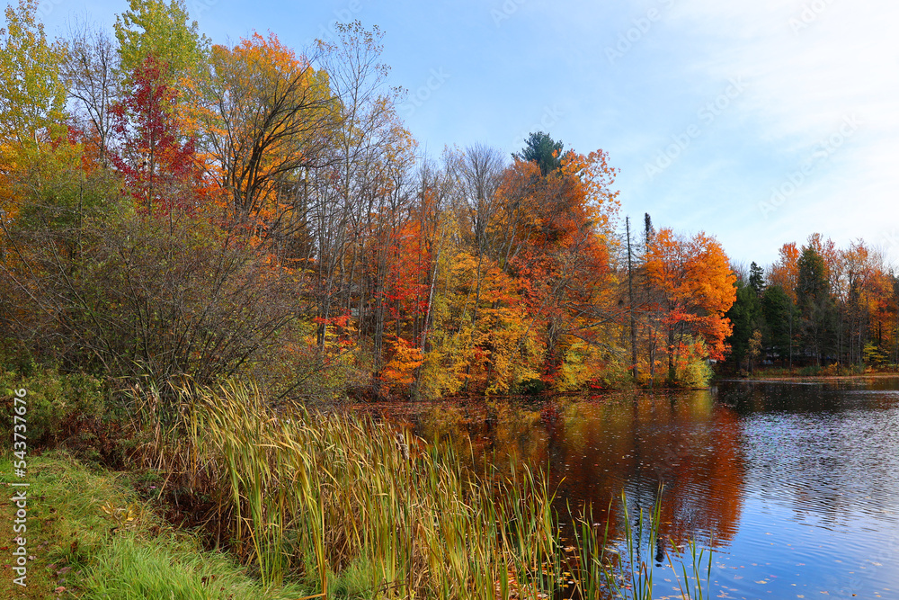 North america fall landscape eastern townships Bromont Quebec province Canada North america fall landscape eastern townships Bromont Quebec province Canada