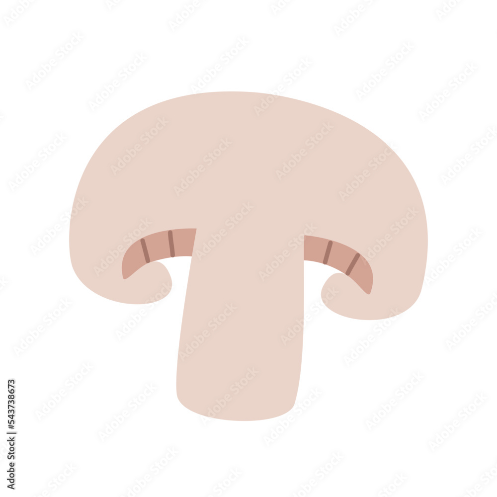 Half of Сhampignon. Slice of mushroom. Hand-drawn colored flat vector illustration isolated on white background. Half of Сhampignon. Slice of mushroom. Hand-drawn colored flat vector illustration isolated on white background.