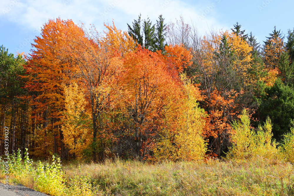 Fototapeta premium Fall landscape eastern townships Quebec province Canada