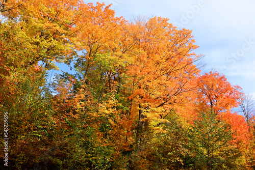 Fall landscape eastern townships Quebec province Canada