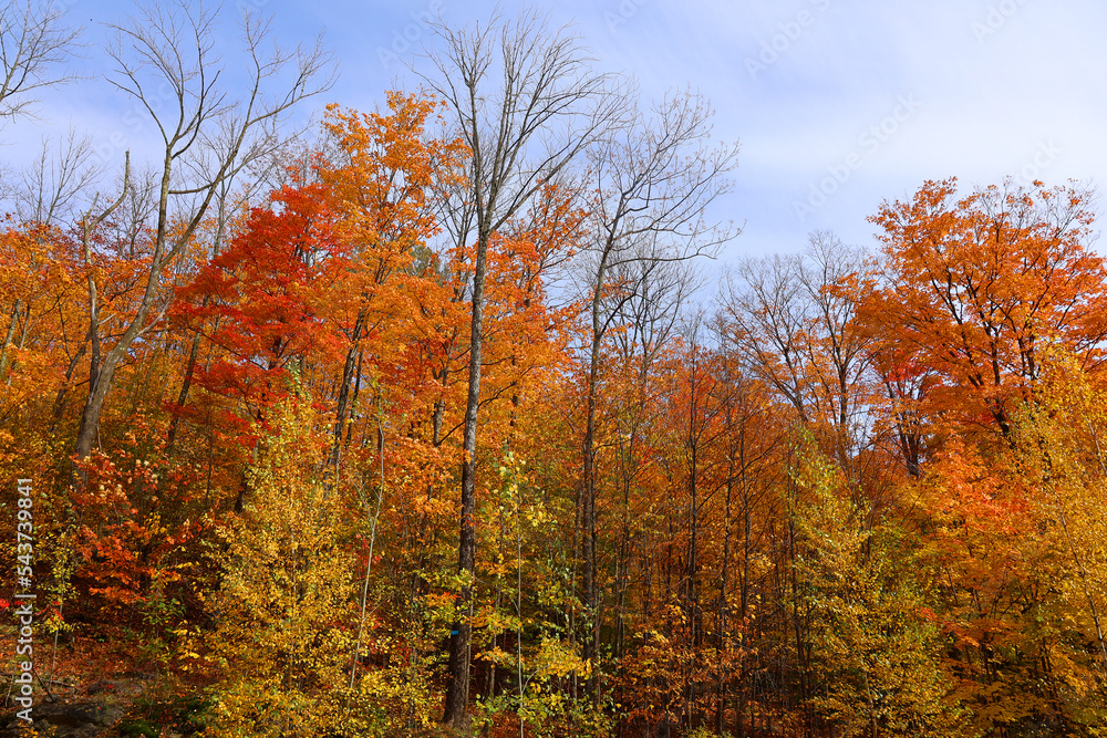 Fall landscape eastern townships Quebec province Canada
