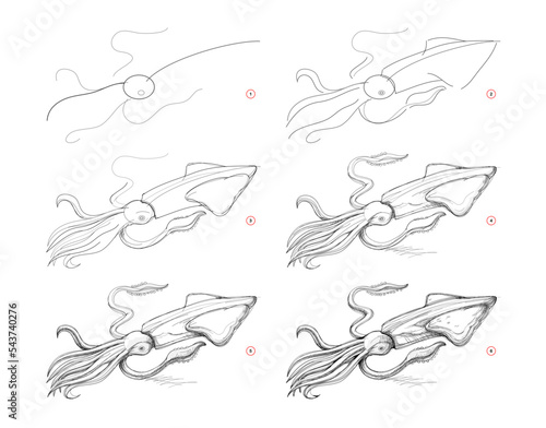 Page shows how to learn to draw sketch of squid. Creation step by step pencil drawing. Educational page for artists. Textbook for developing artistic skills. online education. vector image.