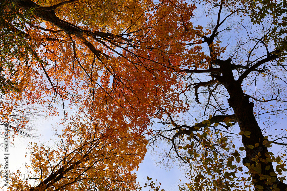 Fall landscape eastern townships Quebec province Canada Fall landscape eastern townships Quebec province Canada