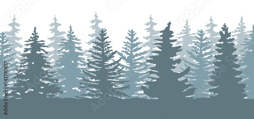 Spruce forest silhouette. Spruce wood silhouette. Spruce tree silhouette