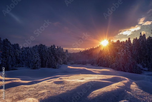 Snowy winter sunset illustration