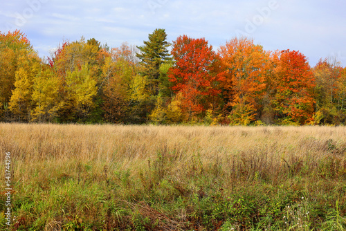 Fall landscape eastern townships Quebec province Canada