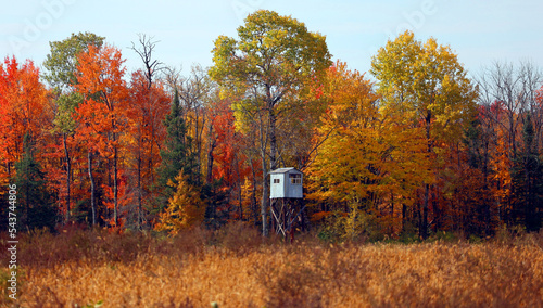 Obraz na plátně Deer hunting stand on the edge of the trees with the fall colorful leaves
