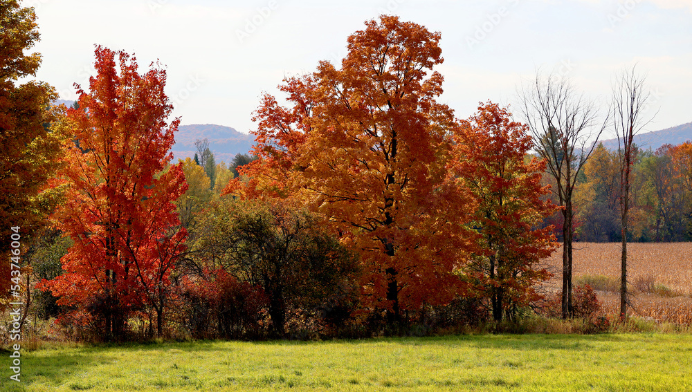 Fall landscape eastern townships Quebec province Canada Fall landscape eastern townships Quebec province Canada