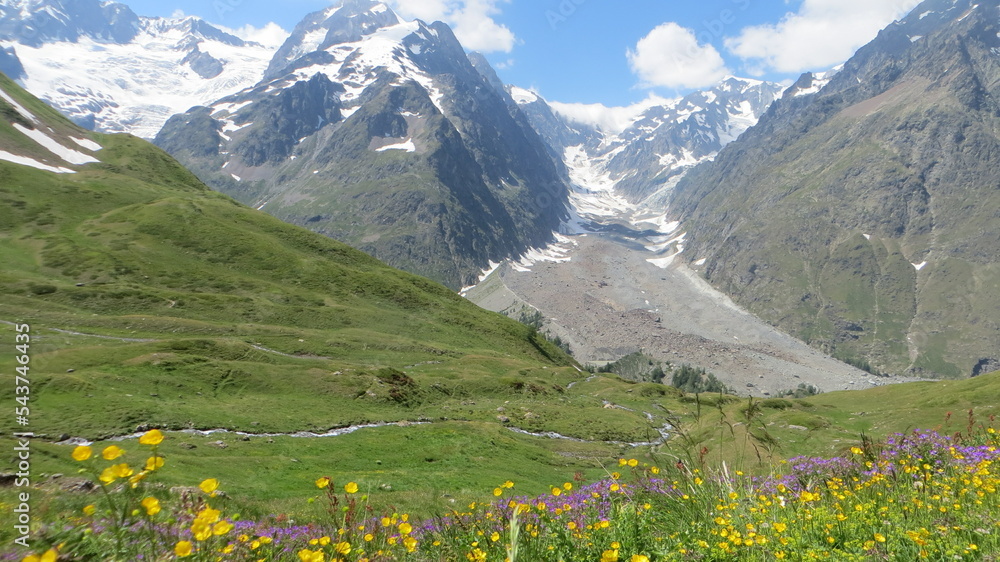 An amazing view of pink and yellow flowers and green vegetation in front of the snowy Mont Blanc mountains and a blue sky with clouds