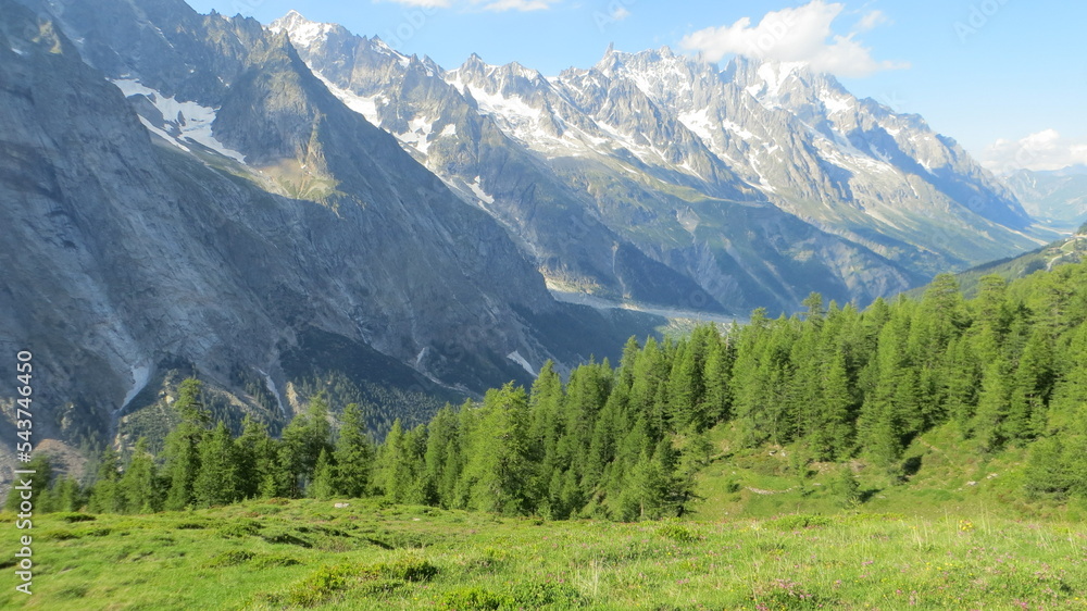 The Mont Blanc mountains rise above a forest of sunny green trees