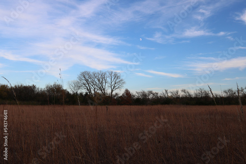 a field in autumn with clouds in the sky