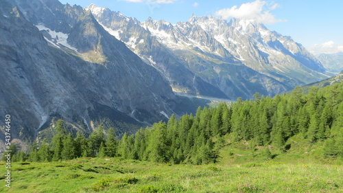 The Mont Blanc mountains rise above a forest of sunny green trees