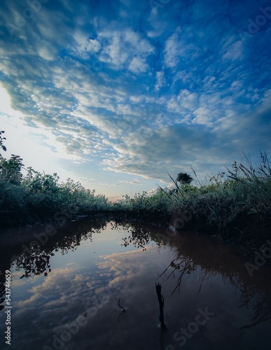 Obraz na plátně Vertical shot of a river with plantations on both sides under blue cloudy sky