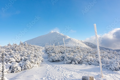 Snow covered "Sniezka" mountain in winter, Karkonosze mountains