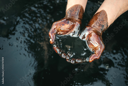 Caucasian oil hands are folded in a bowl of oil. Oil spill. Environmental pollution. an environmental disaster. Copy space photo