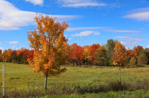 Fall landscape eastern townships Bromont Quebec province Canada