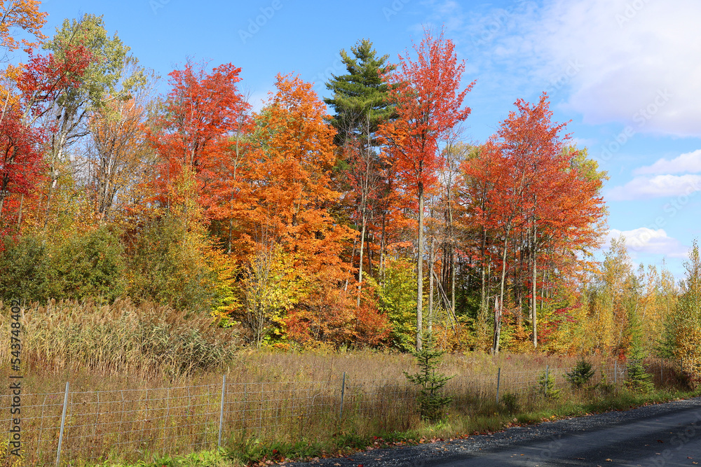 Fall landscape eastern townships Bromont Quebec province Canada