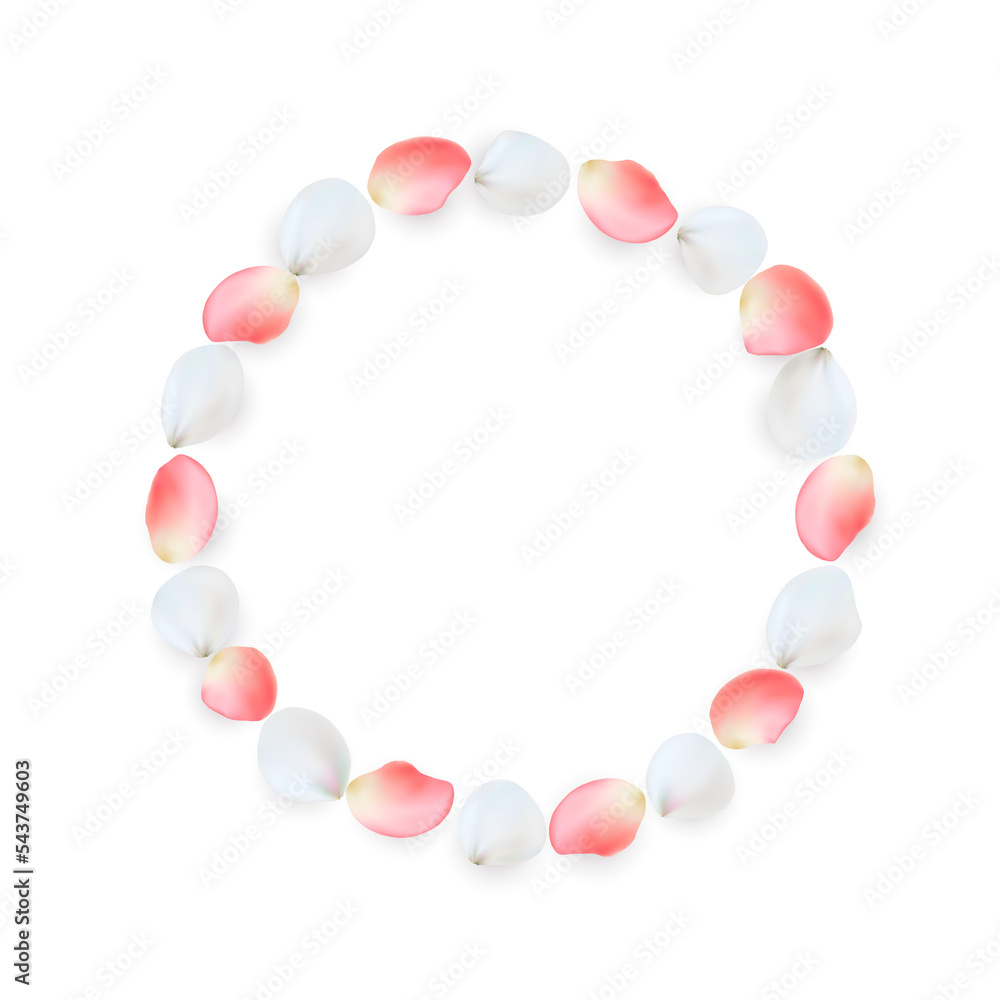 Round frame made of rose petals. White and pink petals arranged in a circle. PNG on transparent background