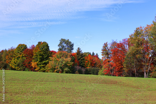 Fall landscape eastern townships Bromont Quebec province Canada