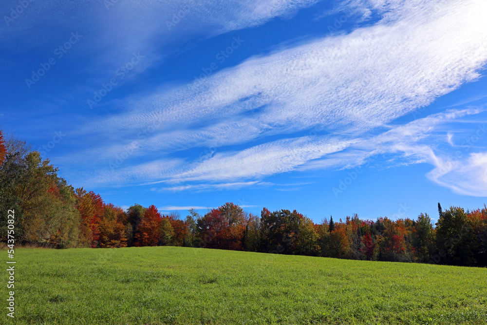 Fall landscape eastern townships Bromont Quebec province Canada