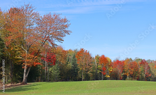 Fall landscape eastern townships Bromont Quebec province Canada