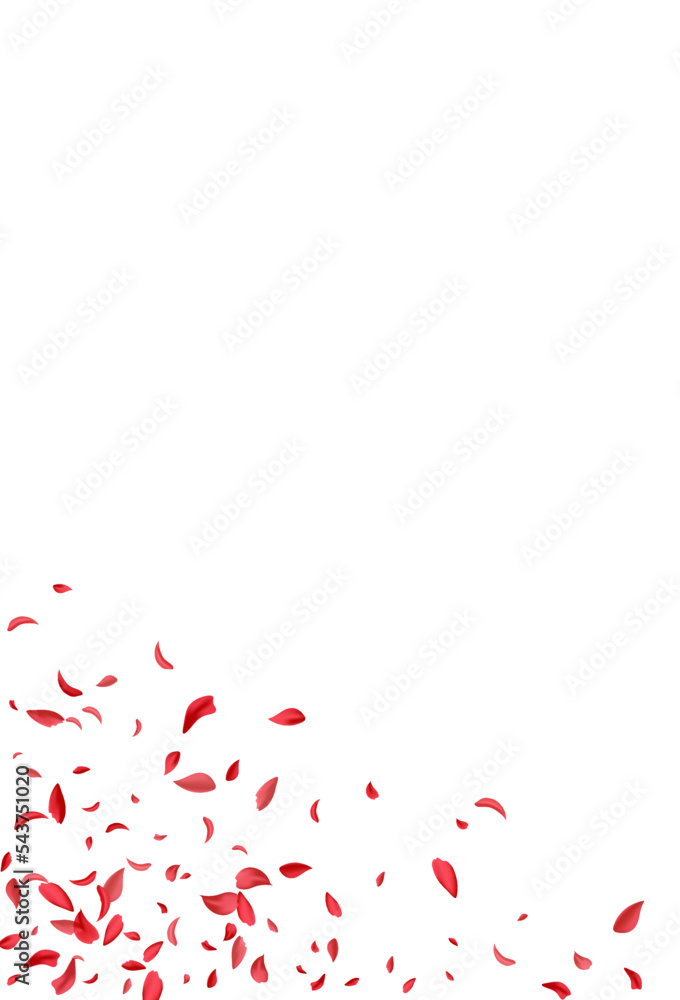 Delicate Peach Summer Vector White Background.