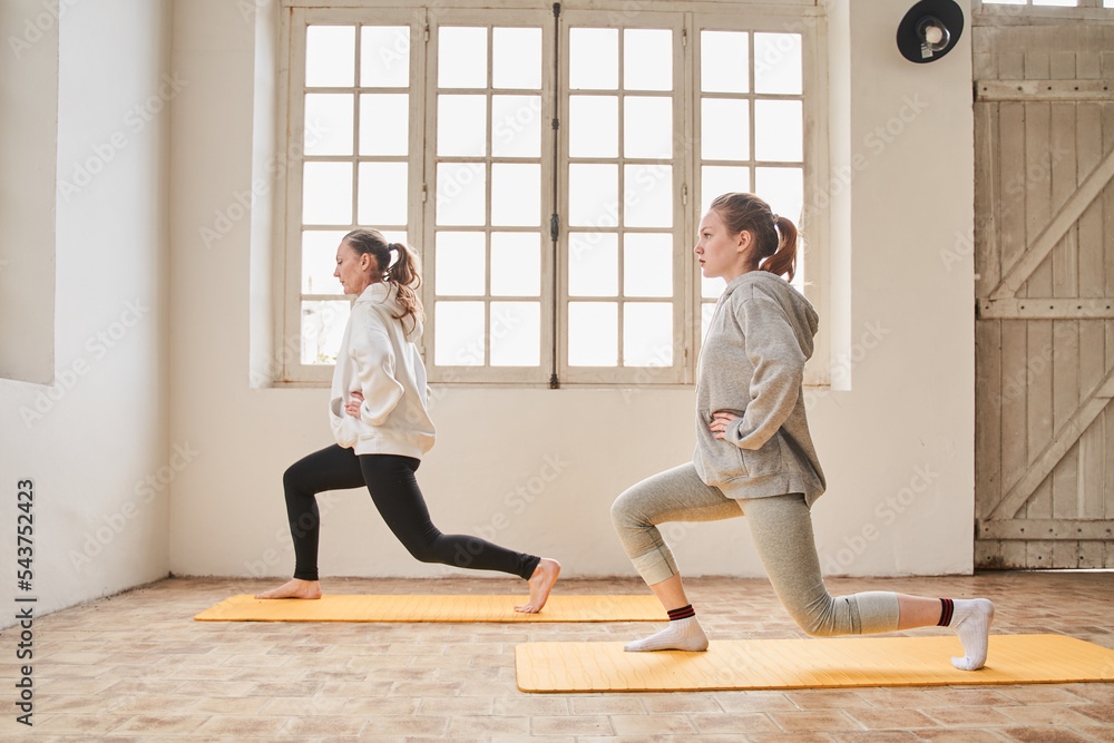 Concentrated mother and her teen daughter is making slopes during the workout at home Concentrated mother and her teen daughter is making slopes during the workout at home