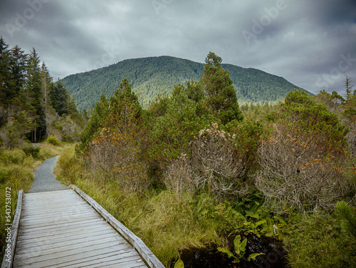 Cross trail with Bear Mountain in background in Sitka, Alaska 