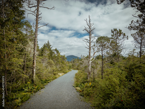 Cross trail with Bear Mountain in background in Sitka, Alaska 
