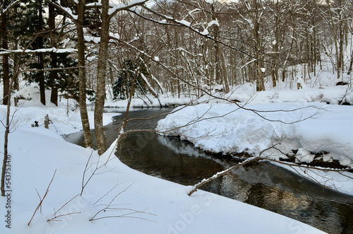 S-shaped river running through a winter forest 