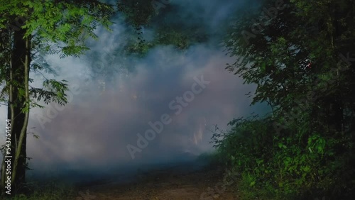 A medieval horseman in a black cloak on a white horse gallops down a trail at night in a misty, mystical forest