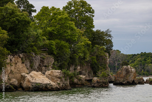 forested sea cliff in put in bay 