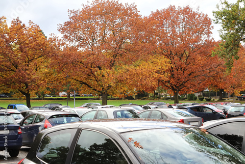 autumn in the city