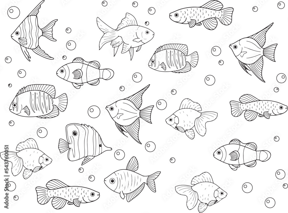 Vector illustration of fish for coloring pages, coloring book, sticker