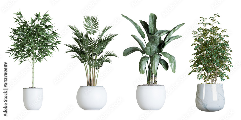 Plant in pot in 3d rendering - obrazy, fototapety, plakaty 