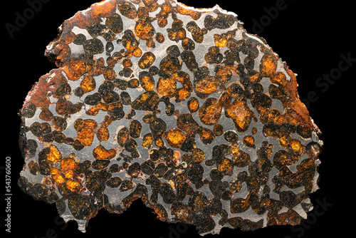 a fragment of meteorite pallasite whit olivine photo