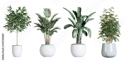 Fototapeta Plant in pot in 3d rendering
