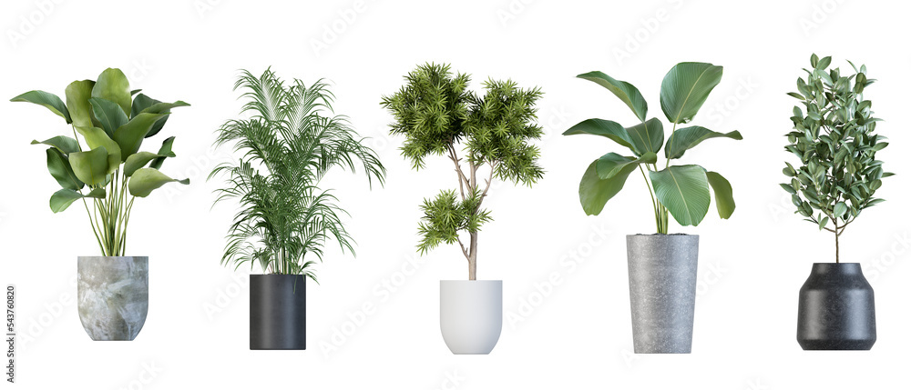 Plants in 3d renderinBeautiful plant in 3d rendering isolatedg isolated - obrazy, fototapety, plakaty 