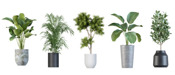 Plants in 3d rendering. Beautiful plant in 3d rendering isolated 